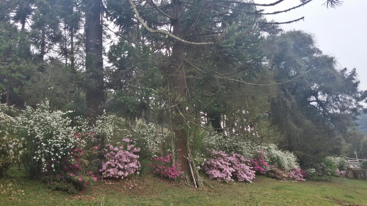 Lodge Chale, Recanto Da Natureza Goncalves