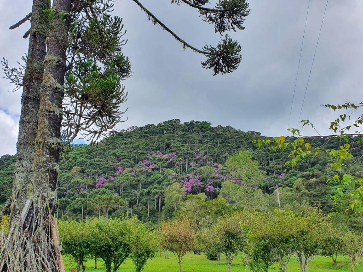 Chale, Recanto Da Natureza Goncalves